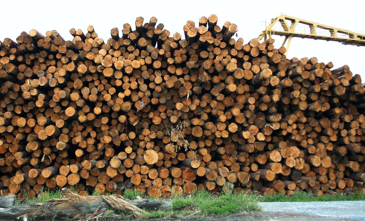 Timber and wood products